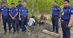 নবীনগরে মাটির নিচ থেকে মদ তৈরির সরঞ্জাম উদ্ধার, আটক ১