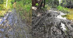 দেবিদ্বারে কাঁচা রাস্তায় গ্রামবাসীর দুর্ভোগ