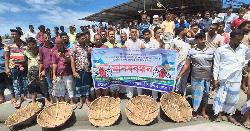 ইলিশ ধরা বন্ধে আগাম নিষেধাজ্ঞা মানতে নারাজ জেলেরা
