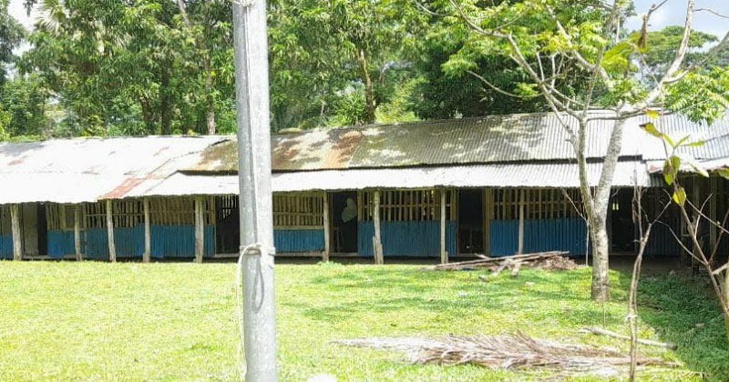 সংগৃহীত ছবি