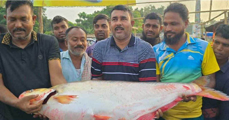 সংগৃহীত ছবি