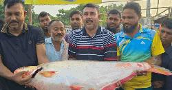 ৪৬ হাজারে বি‌ক্রি হলো এক ঢাই মা‌ছ