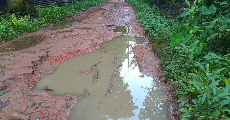 দীর্ঘ দুই যুগ ধরে বেহাল মীরসরাইয়ের শহীদ জামালউল্লাহ সড়ক
