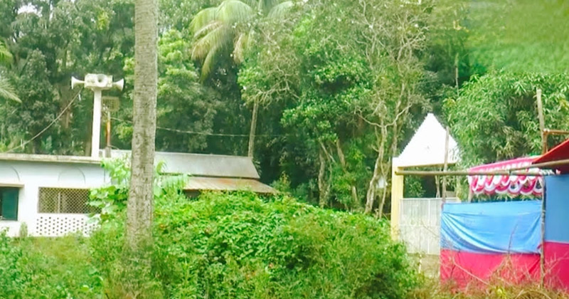 সংগৃহীত ছবি