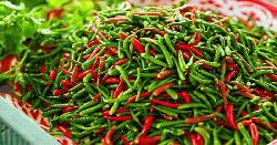 মরিচের ঝালে বাজার গরম, কেজি ৩০০ ছাড়ালো