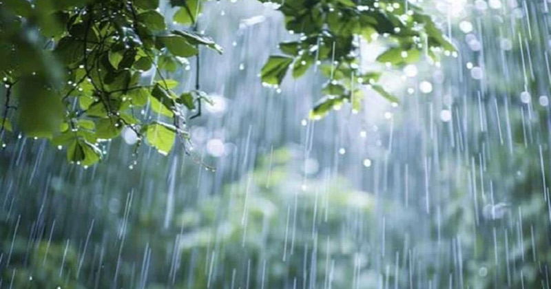 প্রতীকী ছবি