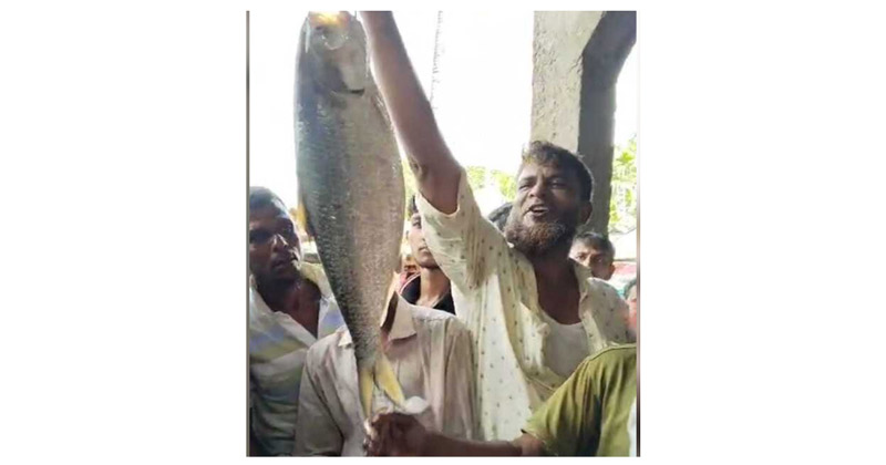 সংগৃহীত ছবি