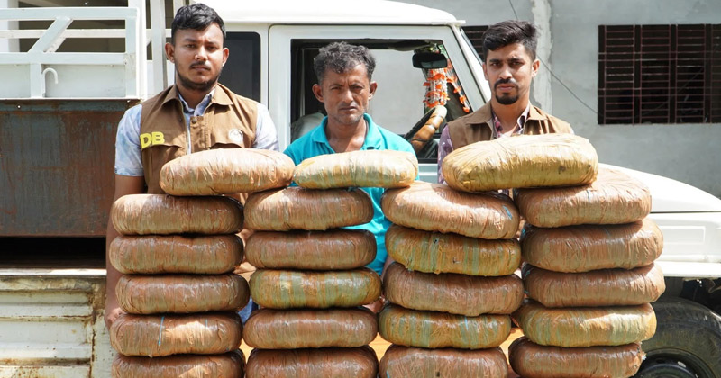 সংগৃহীত ছবি