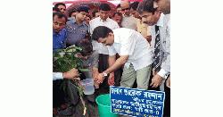 ‘জাতীয় সবুজ মিশন’ চালুর ঘোষণা দিলেন তারেক রহমান