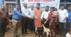 সমতলের প্রান্তিক গোষ্ঠীর মাঝে গৃহপালিত পশু বিতরণ