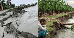 রৌমারীতে ভাঙছে নদ, কাঁদছে মানুষ