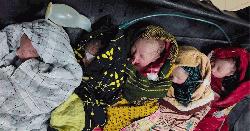 বাউফলে একসঙ্গে পাঁচ সন্তানের জন্ম, এলাকাজুড়ে চাঞ্চল্য