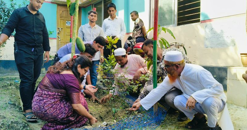 তিতাসে উপজেলা কৃষি অফিস প্রাঙ্গণে ফুল ও ফলের চারা রোপণ