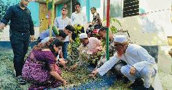 তিতাসে উপজেলা কৃষি অফিস প্রাঙ্গণে ফুল ও ফলের চারা রোপণ