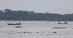 পটুয়াখালীতে মা ইলিশ শিকারের মহোৎসব  