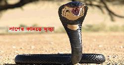 সাদুল্লাপুরে সাপের কামড়ে কলেজ ছাত্রের অকাল মৃত্যু