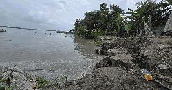 পায়রা নদীর আকস্মিক ভাঙনে নিঃস্ব অর্ধশতাধিক পরিবার
