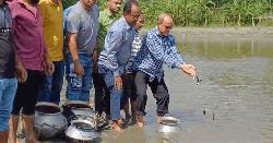 দাগনভুইয়ায় বিএনপি নেতার উদ্যোগে দুই নদীতে মাছের পোনা অবমুক্ত