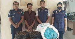 বাহুবলে ১২ কেজি গাঁজাসহ মাদককারবারী আটক