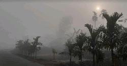 শীত নিয়ে যে বার্তা দিলেন আবহাওয়াবিদরা