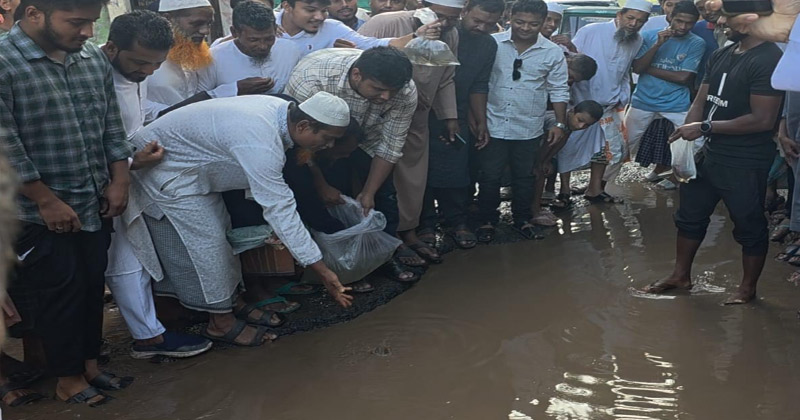 সংগৃহীত ছবি