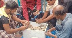 ভিক্ষুক সালেয়া বেগমের ঘরে মিললো তিন বস্তা টাকা