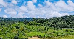 নাইক্ষ্যংছড়ি সীমান্তে মাইন বিস্ফোরণে বিজিবি সদস্য আহত  