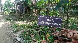 নান্দাইলের দিলালপুরে কবরস্থানে ভাঙচুর