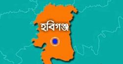 হবিগঞ্জে এইচএসসিতে পাশের হার ৪৬.৮২