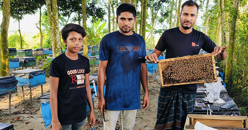 তিতাসে মৌমাছি চাষে সফল সাতক্ষীরার ফরিদ হোসেন