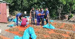 ইউপি সদস্যের বাড়ির ছাদ থেকে ১০০ কেজি গাঁজা উদ্ধার