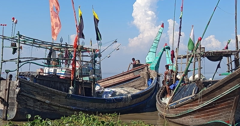 হাতিয়ায় প্রায় ২ টন ইলিশ জব্দ, ৪৬ জেলে আটক