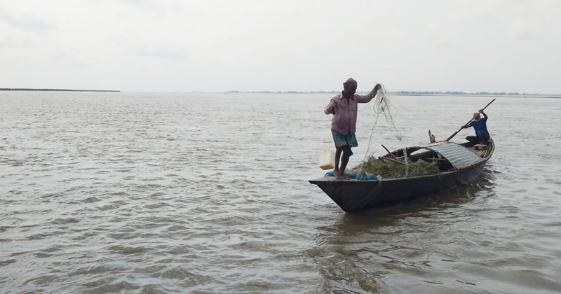 উলিপুরে ব্রহ্মপুত্র নদে ইলিশ শিকারের মহোৎসব