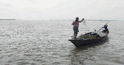 উলিপুরে ব্রহ্মপুত্র নদে ইলিশ শিকারের মহোৎসব, প্রশাসন নীরব 