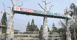 সাফারি পার্কের শেষ জিরাফও মারা গেল