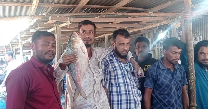 সংগৃহীত ছবি