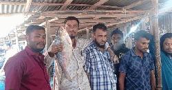 ৯২০০ টাকায় বিক্রি হল আড়াই কেজি ওজনের ইলিশ