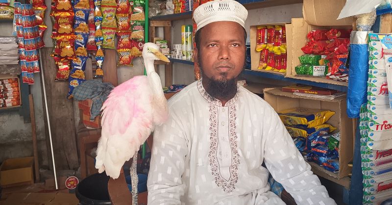 হেমায়েতের দোকানই যেন বকটির নীড়