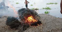 বাগেরহাটে ৪০০ চায়না দুয়ারী জাল  জব্দ, আগুনে পুড়িয়ে ধ্বংস