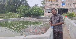৬২০ টাকার রঙিন মাছে সাইফুল্লাহ এখন কোটিপতি