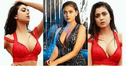 শাকিবের ‘প্রিন্স’ সিনেমায় তিন নায়িকা, দর্শকরা এগিয়ে রাখছেন ইধিকাকে