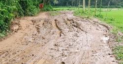 টাঙ্গাইলের ঘাটাইলে চৌউরাশ-হরিনাচালা সড়ক বেহাল 
