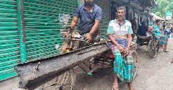 ইন্দুরকানীতে সরকারি পুলের বীম বিক্রি, আটক ২