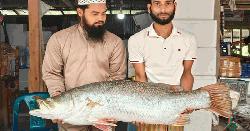 বঙ্গোপসাগরের এক কোরাল ২৫ হাজার ৬৫০ টাকায় বিক্রি