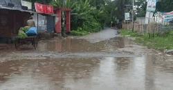 মোল্লাহাটে প্রবেশপথের সড়কের বেহাল দশা, দুর্ভোগে সাধারণ মানুষ