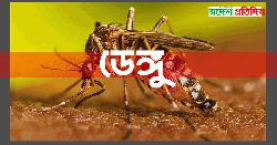 একদিনে ডেঙ্গুতে ৪ জনের মৃত্যু