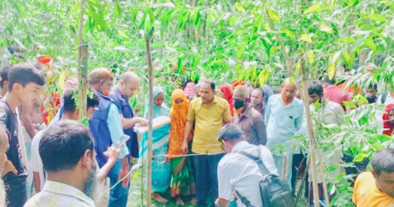 কালিহাতীতে বাড়ির পাশের জঙ্গল থেকে মরদেহ উদ্ধার