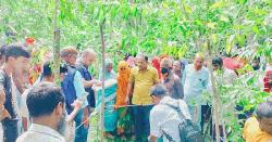 কালিহাতীতে বাড়ির পাশের জঙ্গল থেকে মরদেহ উদ্ধার 