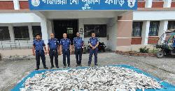 মেঘনায় যাত্রীবাহী লঞ্চ থেকে ১ হাজার কেজি জাটকা জব্দ