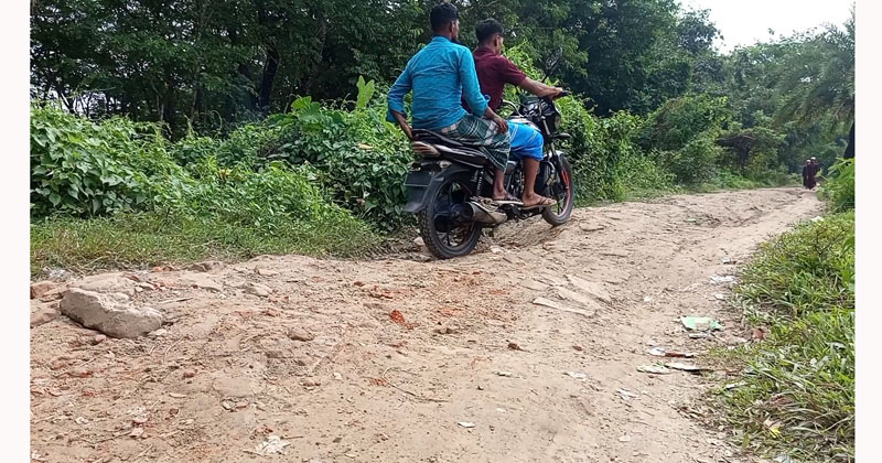 চরকিং ইউনিয়ন ৫নং ওয়ার্ড শূল্লকিয়া গ্রাম বেলায়েত হোসেন রোড